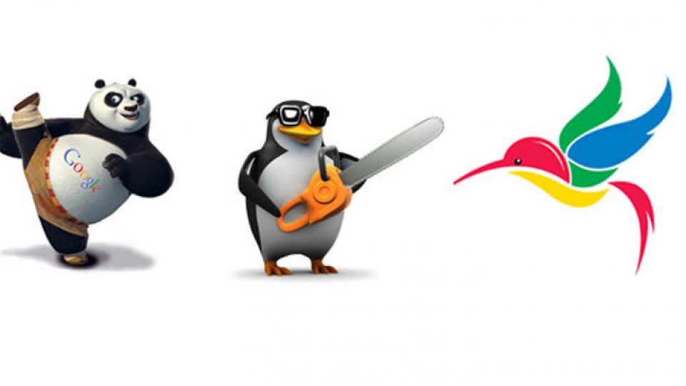 panda_peguin_colibri